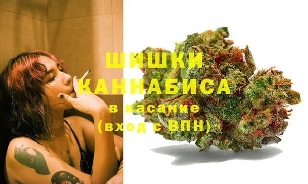 тгк Кукмор