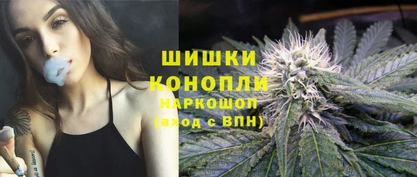 тгк Кукмор