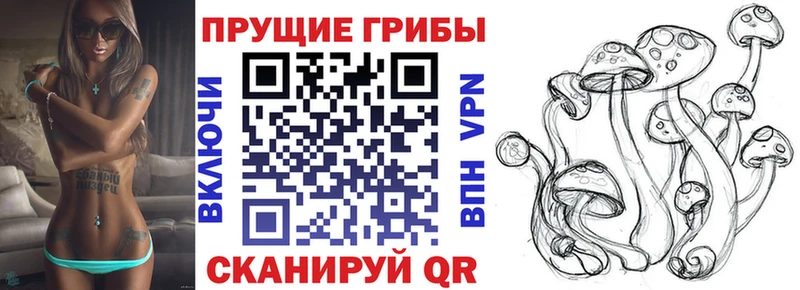 Псилоцибиновые грибы Magic Shrooms  Хилок 